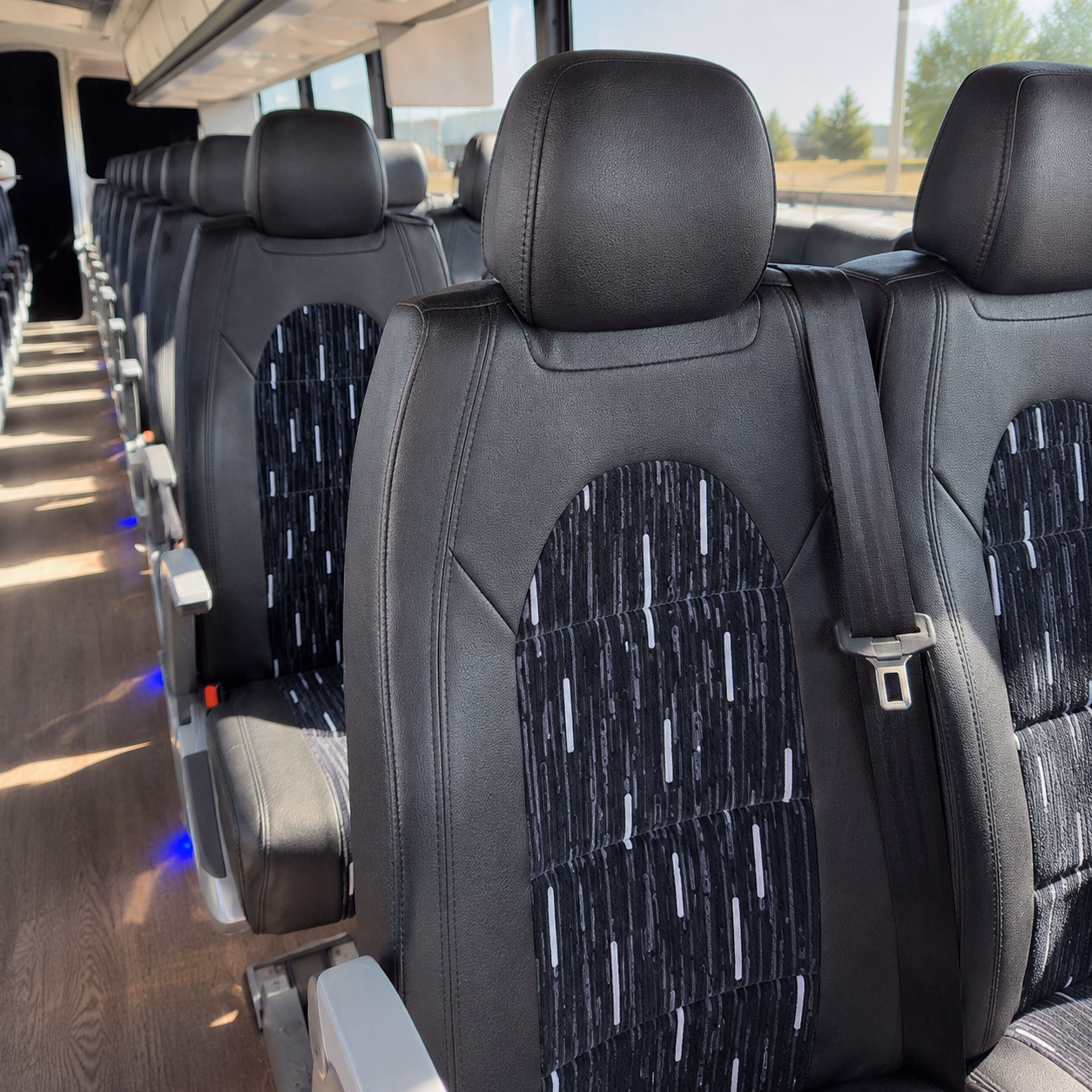 comparing greenville buses made simple