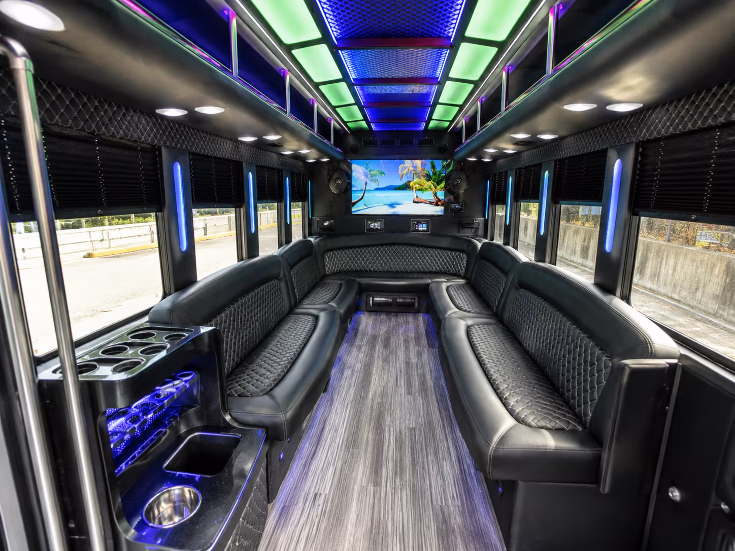 greenville 18 passenger party bus inside