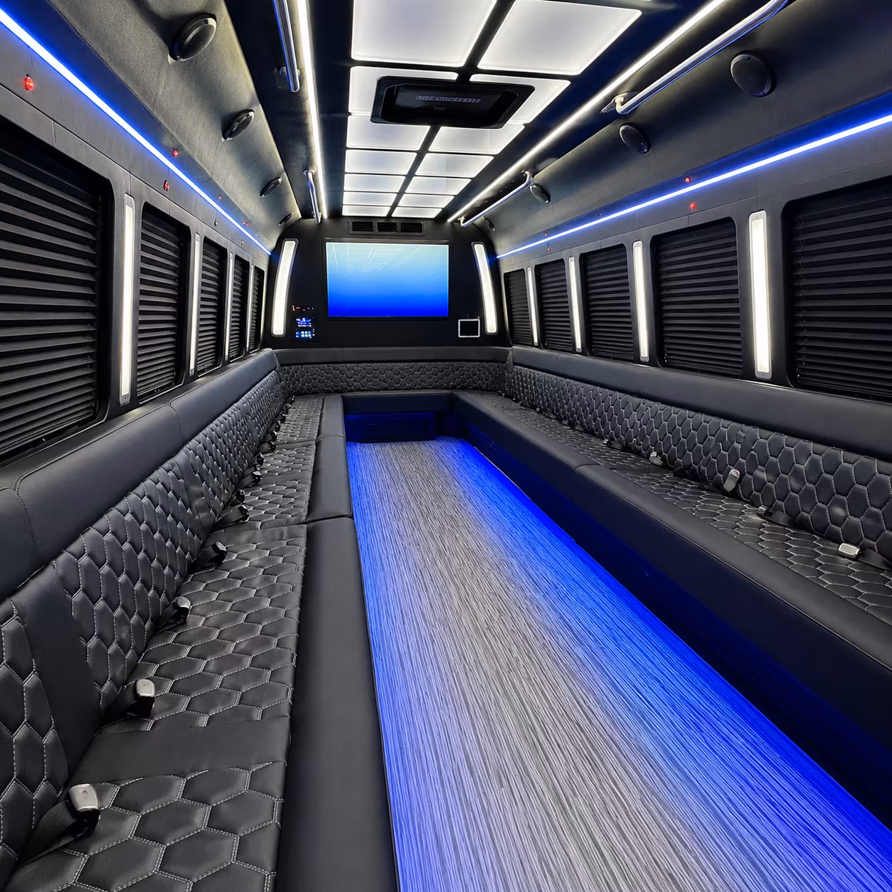 greenville 50 passenger party bus inside